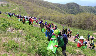 영양산나물축제3